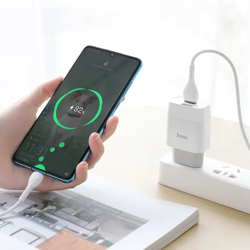Hoco C73A Dual USB Wall Charger 2.4A